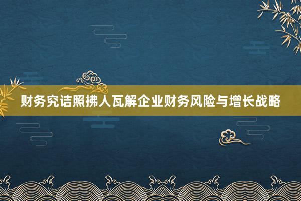 财务究诘照拂人瓦解企业财务风险与增长战略