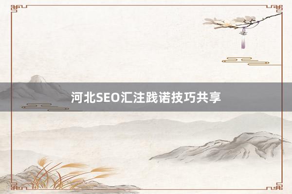 河北SEO汇注践诺技巧共享
