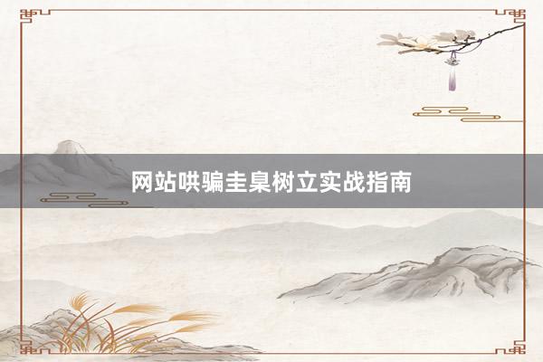 网站哄骗圭臬树立实战指南